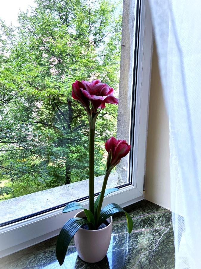 Comfort Apartment 2 Rooms 65M2 Warszawa Exteriör bild